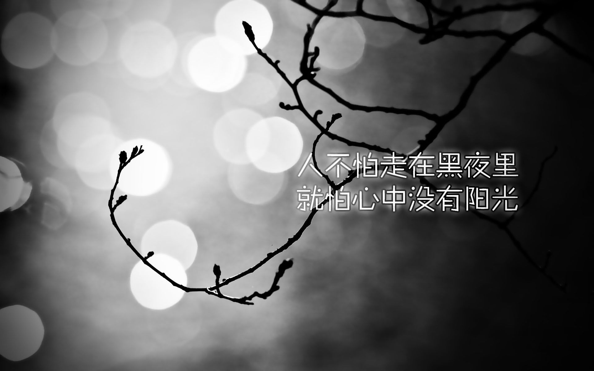 图图- 北京交通大学论坛-知行信息交流平台 - powered by discuz!